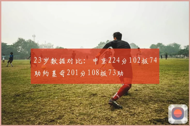 23岁数据对比：申京224分102板74助约基奇201分108板73助